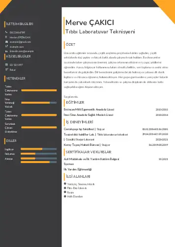Laboratuvar Teknisyeni Cv Örnekleri cv indir